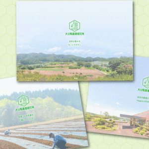 農業生産法人有限会社大分県農業研究所　大分県農業研究所　大分農研　おおいたのうけん　OITANOKEN　健祥爽喜　けんしょうそうき　kenshosoki　かち割り梅　桑　青梅　梅　赤紫蘇　紫蘇　糖尿病　二日酔い　飲み過ぎ　長寿