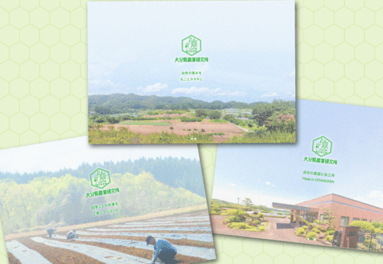 農業生産法人有限会社大分県農業研究所　大分県農業研究所　大分農研　おおいたのうけん　OITANOKEN　健祥爽喜　けんしょうそうき　kenshosoki　かち割り梅　桑　青梅　梅　赤紫蘇　紫蘇　糖尿病　二日酔い　飲み過ぎ　長寿