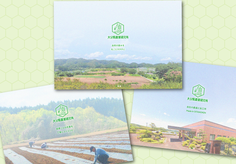 農業生産法人有限会社大分県農業研究所　大分県農業研究所　大分農研　おおいたのうけん　OITANOKEN　健祥爽喜　けんしょうそうき　kenshosoki　かち割り梅　桑　青梅　梅　赤紫蘇　紫蘇　糖尿病　二日酔い　飲み過ぎ　長寿