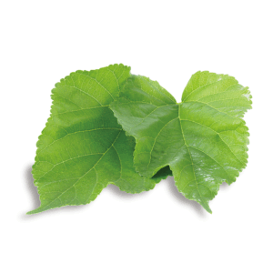 農業生産法人有限会社大分県農業研究所 大分県農業研究所 大分農研 おおいたのうけん OITANOKEN 健祥爽喜 けんしょうそうき kenshosoki かち割り梅 桑 青梅 梅 赤紫蘇 紫蘇 糖尿病 二日酔い 飲み過ぎ 長寿