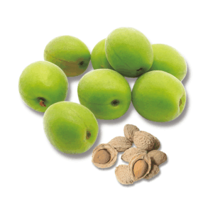 農業生産法人有限会社大分県農業研究所 大分県農業研究所 大分農研 おおいたのうけん OITANOKEN 健祥爽喜 けんしょうそうき kenshosoki かち割り梅 桑 青梅 梅 赤紫蘇 紫蘇 糖尿病 二日酔い 飲み過ぎ 長寿