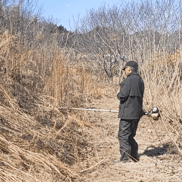 畑の環境づくり